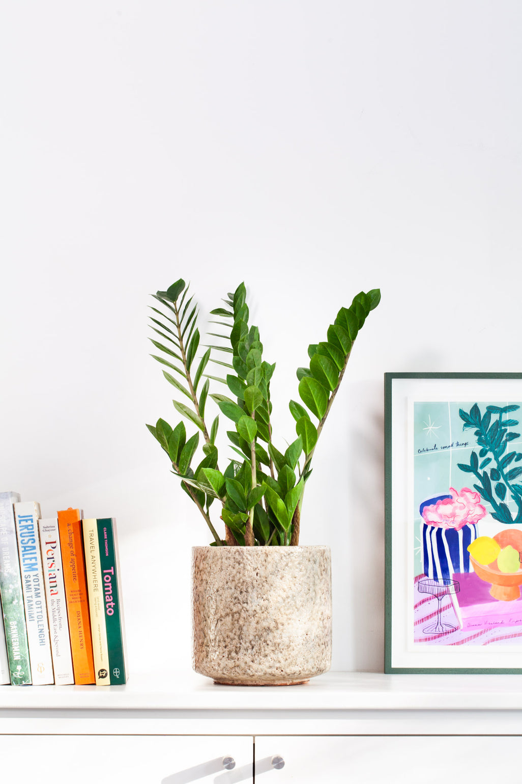files/IndoorPlants-JamieShots16.11.2023-043.jpg